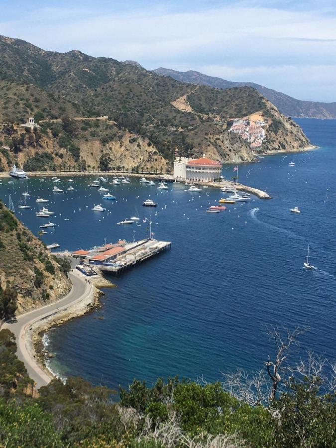 The Avalon Hotel In Catalina Island Dış mekan fotoğraf