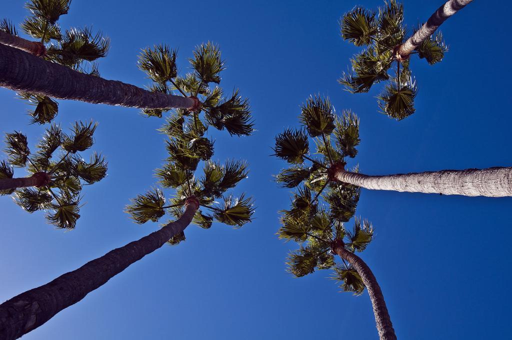 The Avalon Hotel In Catalina Island Dış mekan fotoğraf