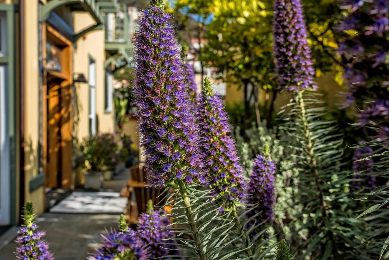 The Avalon Hotel In Catalina Island Dış mekan fotoğraf