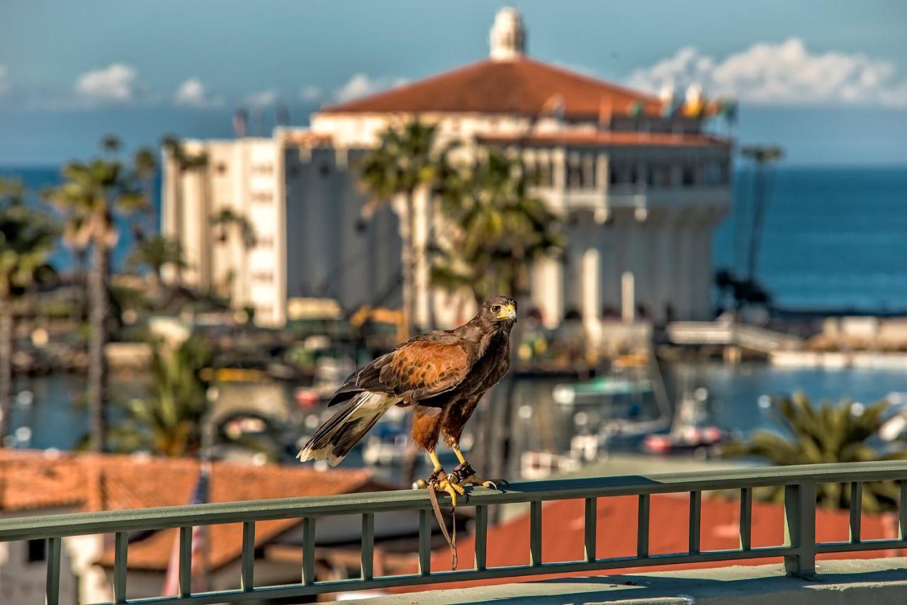 The Avalon Hotel In Catalina Island Dış mekan fotoğraf